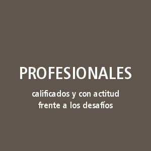 Profesionales calificados y con actitud frente a los desafíos