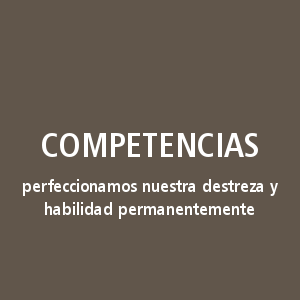 Competencias. Perfeccionamos nuestra destreza y hablidad permanentemente